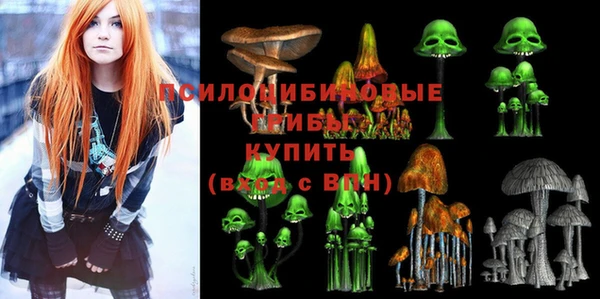 эйфоретик Верея