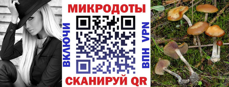 Галлюциногенные грибы прущие грибы  Новоржев 