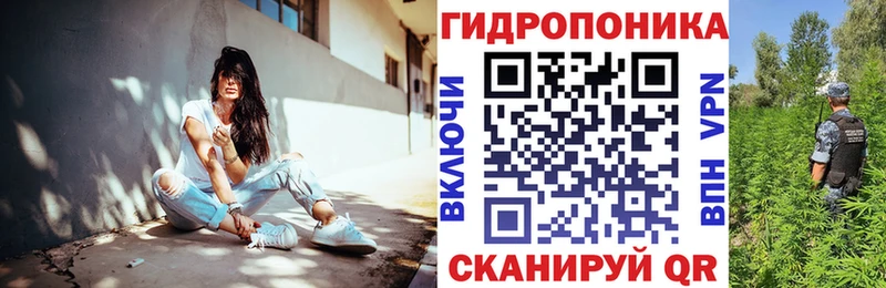 закладка  Новоржев  Бошки Шишки сатива 